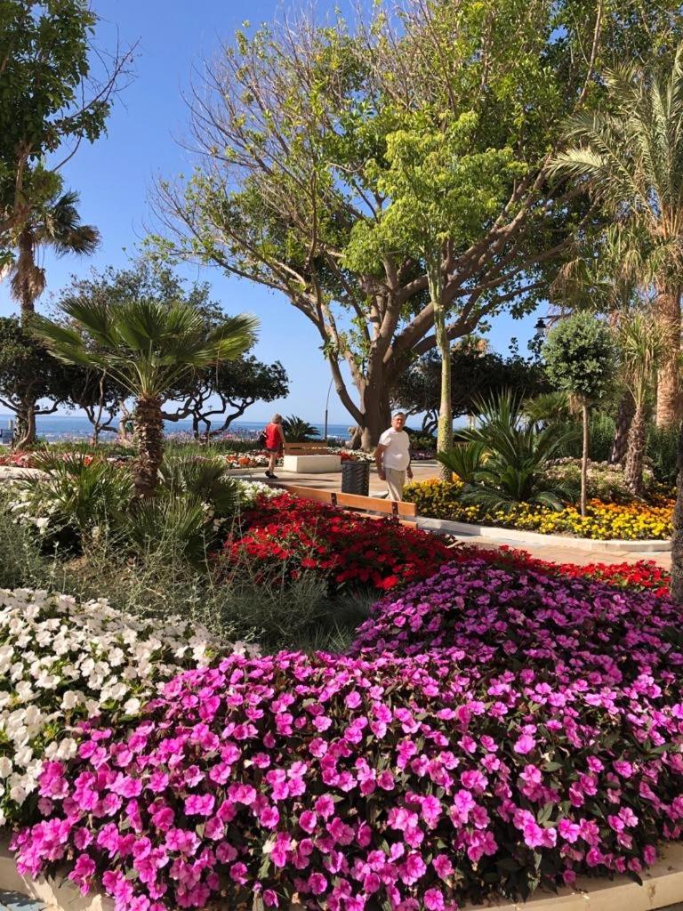 La Rada Beach Estepona Centro Dış mekan fotoğraf